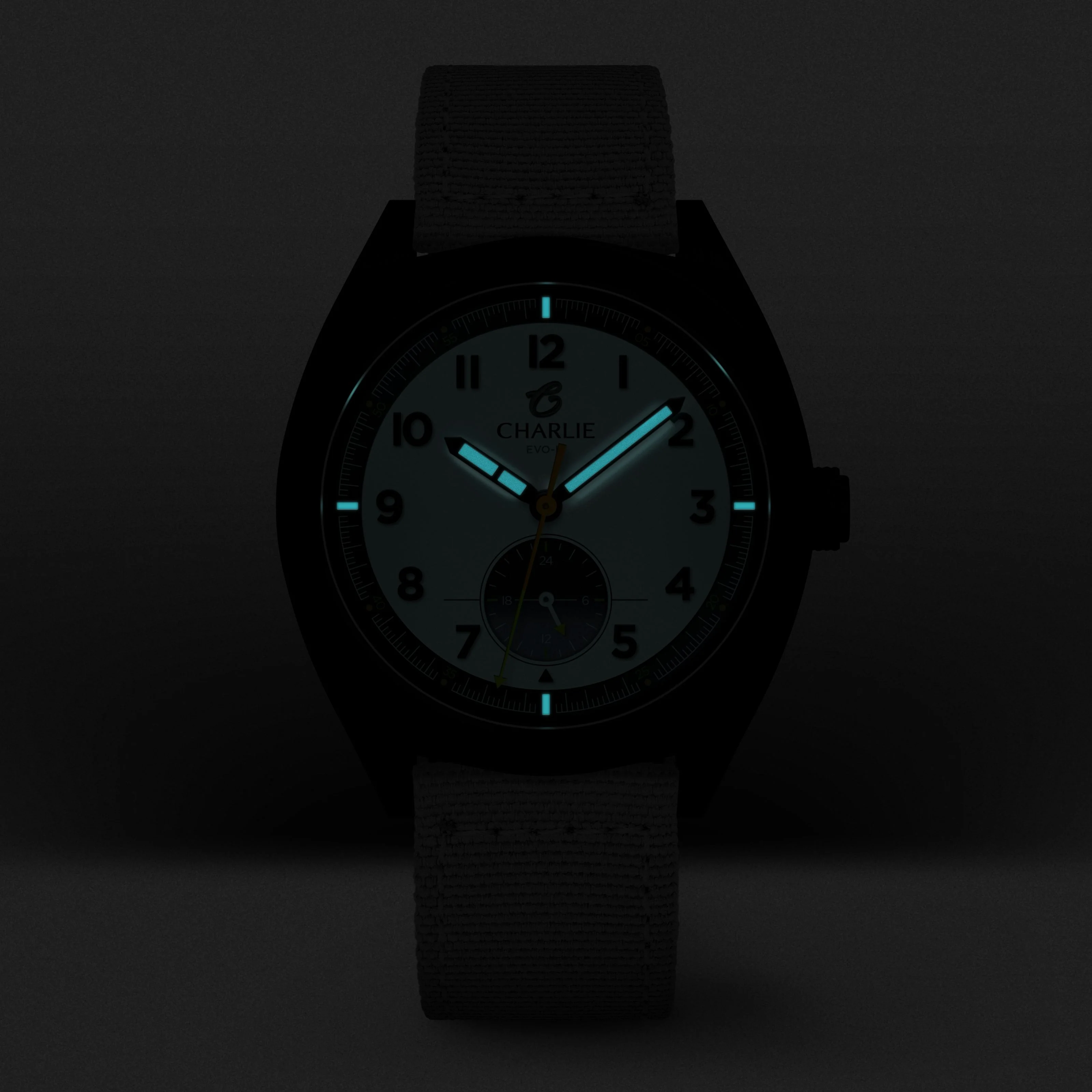 GRX - 24h - EVO-III - Image 3